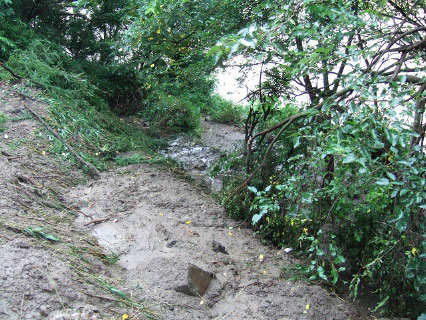 国道１１７号　ＪＲ飯山線沿い　道路を越えて下の千曲川まで土砂が流れて